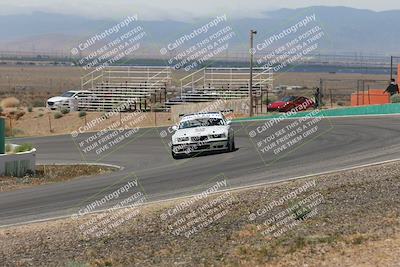 media/May-03-2025-Lucky Dog Racing (Sat) [[206de64b9d]]/Turn 4 B (1150am-130pm)/